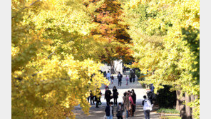 [날씨]11월 첫날부터 미세먼지 ‘나쁨’…중부 오전·남부 오후