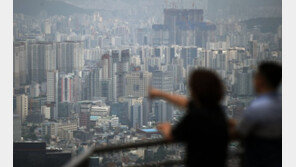 22억 들여 주택 20채 싹쓸이…집주인은 9살 어린이