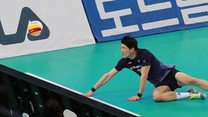 경찰, 전 애인 폭행 혐의 프로 배구선수 정지석 불구속 송치