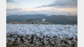 서울 11월 중순 ‘첫눈’ 가능성…“다음주 후반 찬공기 남하”