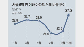 “대출규제 덜한 집 사자”… 6억 이하 아파트 ‘품귀’ 