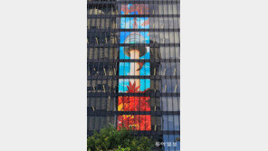 [고양이 눈]안녕, 가을