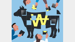 “송아지 4만원어치 투자합니다”… MZ세대, 조각투자에 꽂히다 