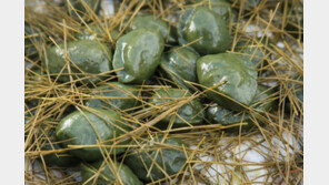 백설기·송편…‘떡 만들기’ 문화, 무형문화재 됐다