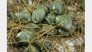 ‘떡 만들기’ 국가무형문화재 지정… “나눔과 배려의 상징”