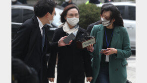 정경심 전 교수가 공동소유한 2층 상가 경매로 나왔다