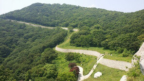 충남 내포문화숲길, 지자체 첫 국가 숲길 됐다