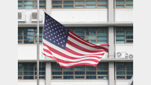 美경찰, 5년간 비무장 운전자 400명 살해…과잉 단속 논란