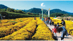 “정원의 벽 허물고 시민 속으로…” 더 살기 좋은 울산 만들기 시작됐다 