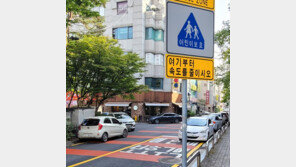 “운전자 시야 가려졌지만”…스쿨존서 초등생 친 60대 벌금형