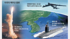 “美 핵 선제 불사용 검토, 北위협엔 예외 요구해야” 