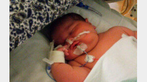 “머리가 너무 커!”…아빠도 놀란 6.78kg 슈퍼베이비의 탄생