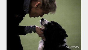 반려견은 왜 고개를 갸웃거릴까…“기억 처리하는 과정”