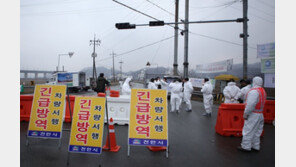 천안 야생조류 AI 발생…천안·아산 가금류 농가 100여 곳 이동 제한