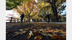 [날씨] 서울 13.8도, 광주 15.9도 ‘쌀쌀’…강원 영동엔 5㎜ 비