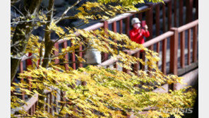 ‘단풍 절정 맞은 한라산 만산홍엽’…지난해보다 7일 늦어