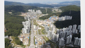 성남시 “신중하라” 4분뒤… 도개공 사장 “대장동 배임” 보고서 공개