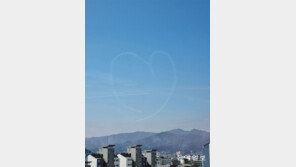 [고양이 눈]내 하트를 쏴라