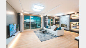 시세 반값에 이루는 내 집 마련의 꿈… 잠실생활권-한강조망은 덤