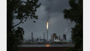 석탄도 소비 1,2,3위 국가 모두 빠진채 감축 합의