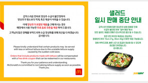 햄버거 양상추 실종 장기화, 연말까지 계속될 우려