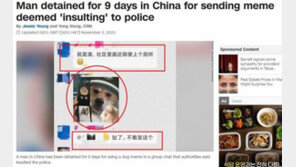 中, 개에 경찰모 씌운 밈 게시男에 “경찰 모독” 구금 논란