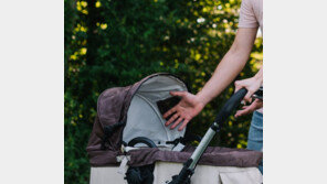 3세아 때리고 아기 유모차 빼앗으려 한 50대 주정뱅이