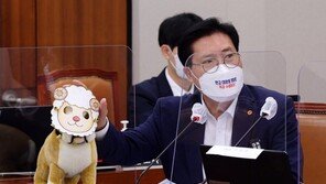 국토위에 또 나온 ‘양두구육’ 인형…與 퇴장에 파행