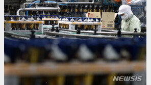 늘 비슷한 아이스크림값…빙그레·롯데·해태, 가격 담합 적발