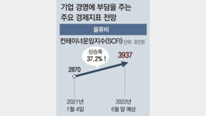 “내년에도 원자재-물류비 등 상승… 기업 5중고” 