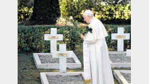 교황 “전쟁 멈춰 달라” 프랑스군 묘지에 헌화