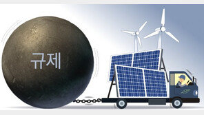 정부 “탄소중립” 외치는데… 지자체 “태양광 거리규제” 
