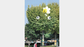 [고양이 눈]지켜보고 있다