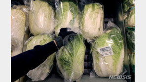 김장철 배추 값 52% 상승, 절임 완판·온라인 매출 4배