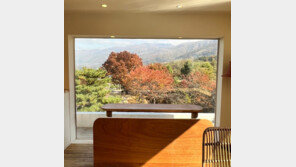 늦가을, 커피 한잔과 ‘숲멍’ ‘불멍’으로 힐링하세요