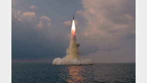 러시아 끌어들여 SLBM 정당화한 北 “南도 유사 행동”