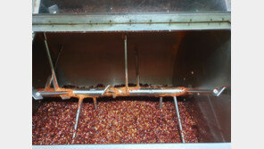 “100% 국내산이라더니”…중국산 고춧가루 섞어 판매한 업체 대표 구속영장