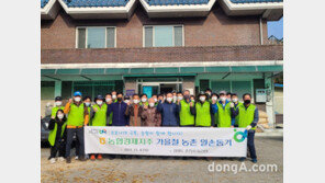 [포토]농협 임직원, 가을철 일손돕기 실시