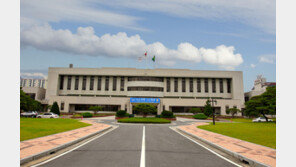 술 냄새에 눈은 반쯤 풀려 근무…광양시장 선거캠프 출신 女공직자 논란