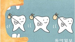 성공의 비밀은, 치아입니다[안드레스의 한국 블로그]