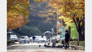 다음주 아침기온 영하로 ‘뚝’…강원 산지·내륙 눈 내릴 수도