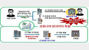 회사 명의로 리무진 이용한 사주 아들…국세청, 기업 30곳 세무조사