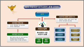 가짜 코인거래소 차려 투자금 96억 가로챈 사기조직 20명 구속