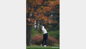 KLPGA 시즌 최종전 12일 개최…최혜진 웃을 수 있을까