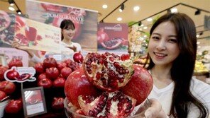 “석류로 환절기 면역 챙기세요”