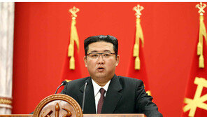 WHO “북한에 코로나19 지원물자 추가 반입 없어”