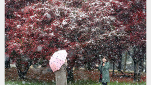 서울서 ‘첫눈’ 관측…수도권 낮까지 눈 내려