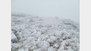 한라산에 최고 11.7㎝ 눈 쌓여…탐방로 부분 통제