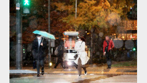 광화문 첫 눈, 지난해보다 30일 빨라 [청계천 옆 사진관]