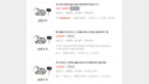 인터넷 판매 ‘1만원 키’ 하나면 신호등 내맘대로 조정…경위 파악
